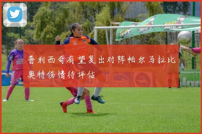 普利西奇有望复出对阵帕尔马拉比奥特伤情待评估